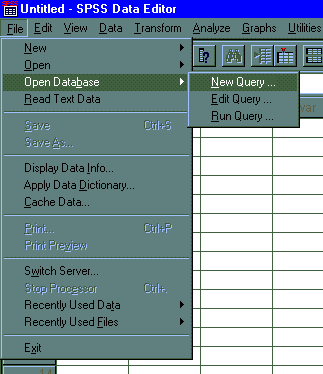 Open Database in SPSS
